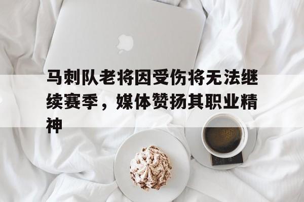 马刺队老将因受伤将无法继续赛季，媒体赞扬其职业精神的简单介绍